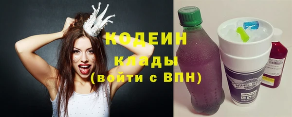 твердый Инта