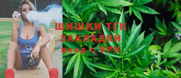твердый Инта