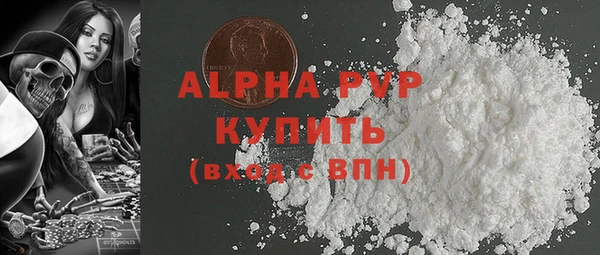 твердый Инта