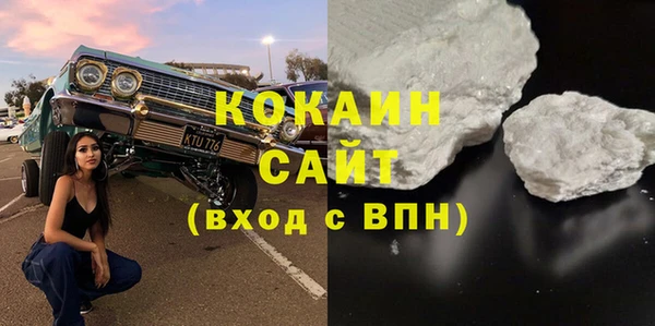 твердый Инта