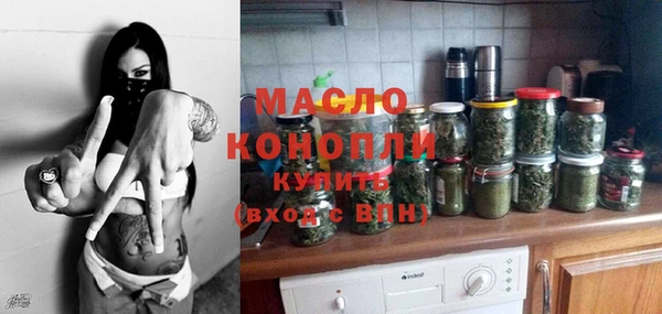 твердый Инта