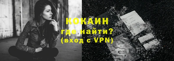 твердый Инта