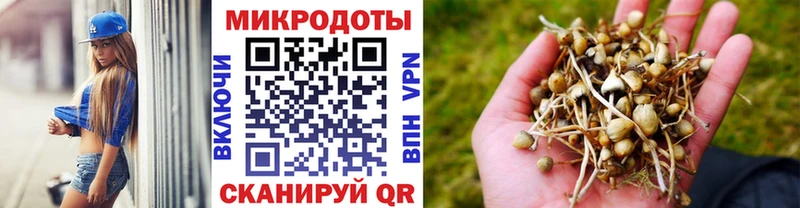 Псилоцибиновые грибы ЛСД Полтавская
